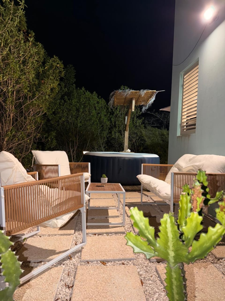 Night, Garden, Living room