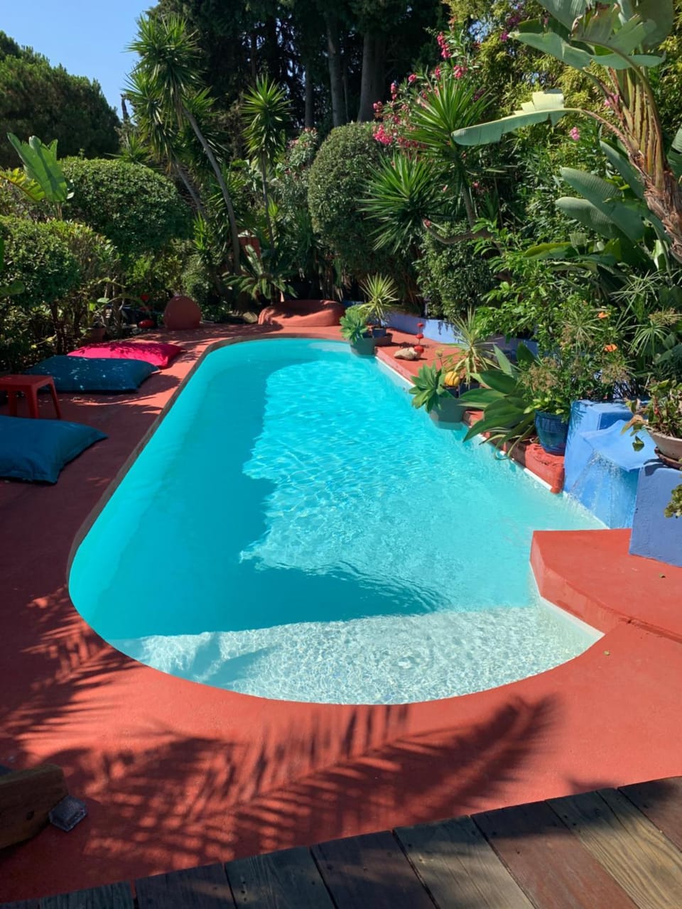 Day, Garden, Garden view, Pool view, Swimming pool
