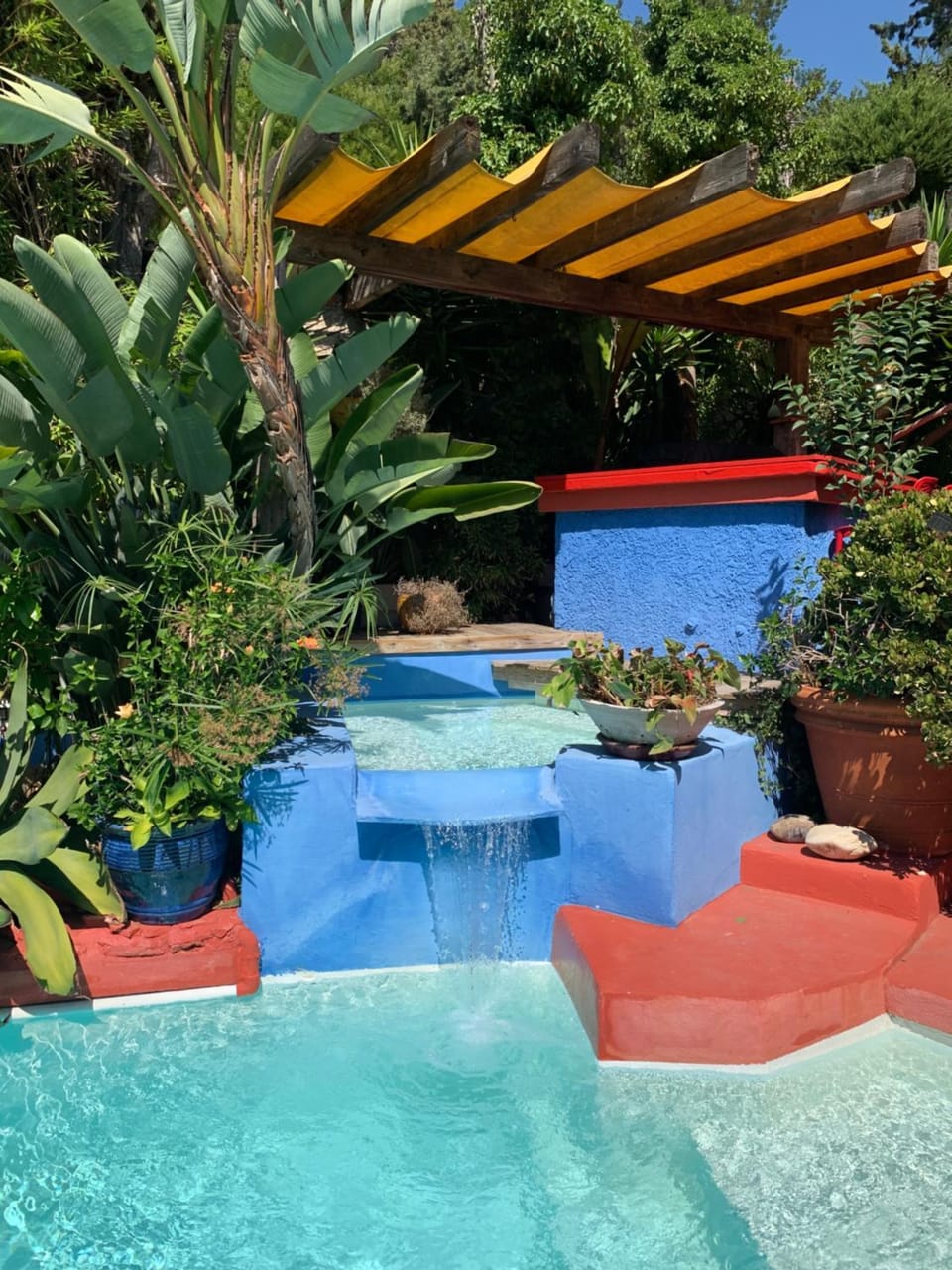 Day, Garden, Garden view, Pool view, Swimming pool, sunbed