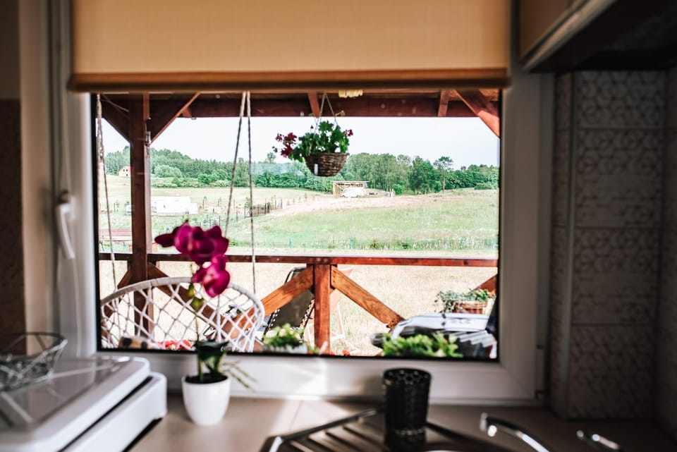 Day, Natural landscape, Garden, View (from property/room), Garden view