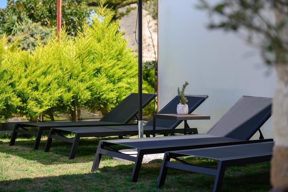 Spring, Day, Garden, Garden view, sunbed