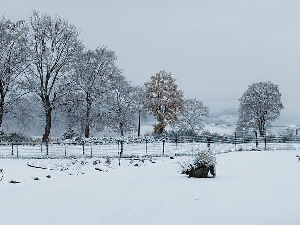 Natural landscape, Winter