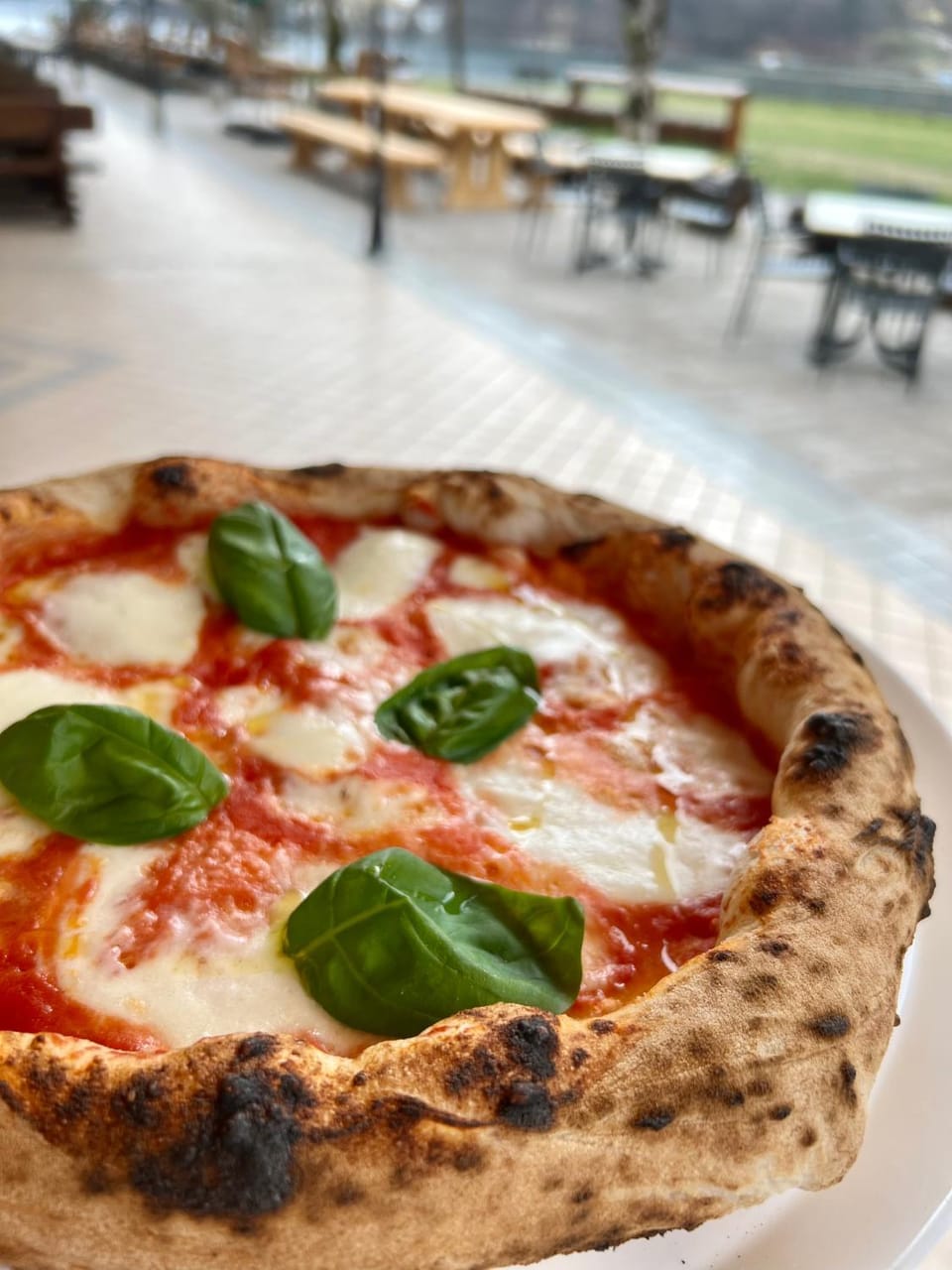 Food and drinks, Food, Lunch, Dinner