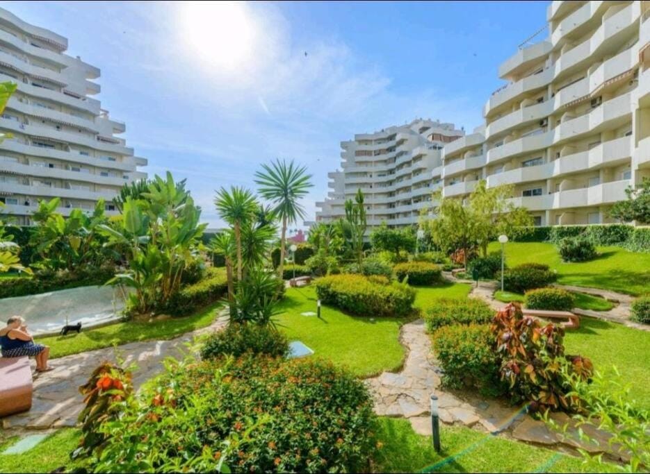 Property building, Garden view