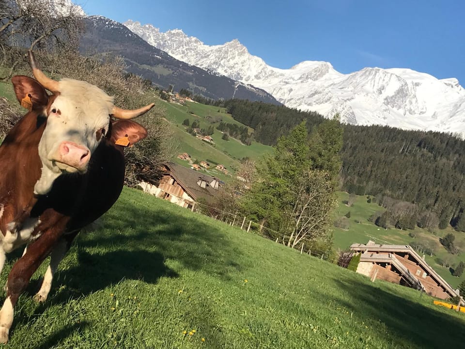 Mountain view