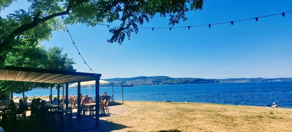 Magnolia Garden, 12 min walk to the beach Apartment in Friuli-Venezia Giulia