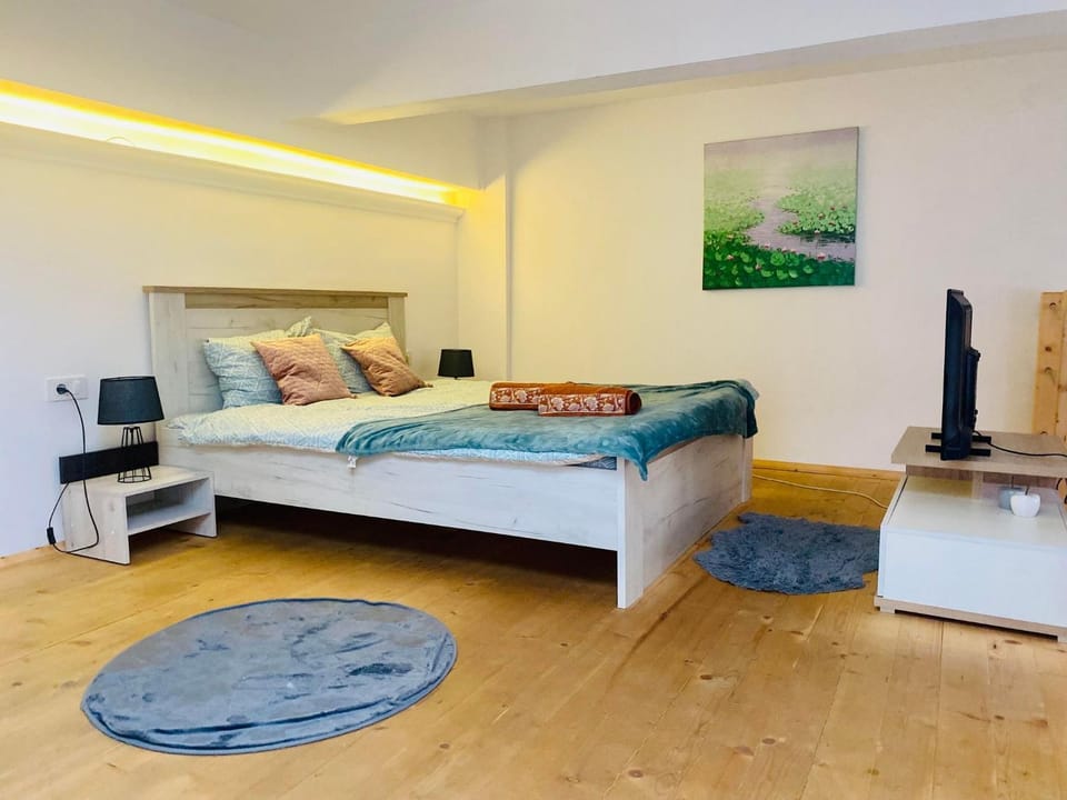 The central apartament Apartment in Cluj-Napoca