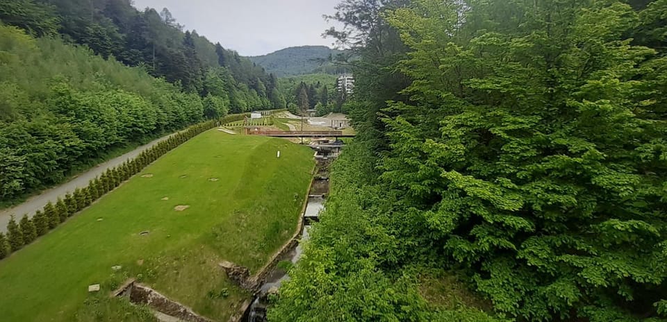 Garden, Garden view, Mountain view