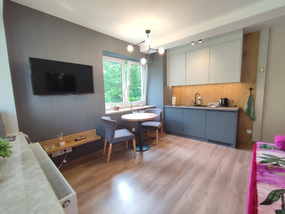 Kitchen or kitchenette, Living room