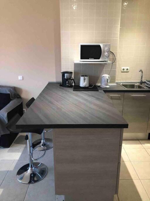 Coffee/tea facilities, Kitchen or kitchenette, minibar, stove, toaster