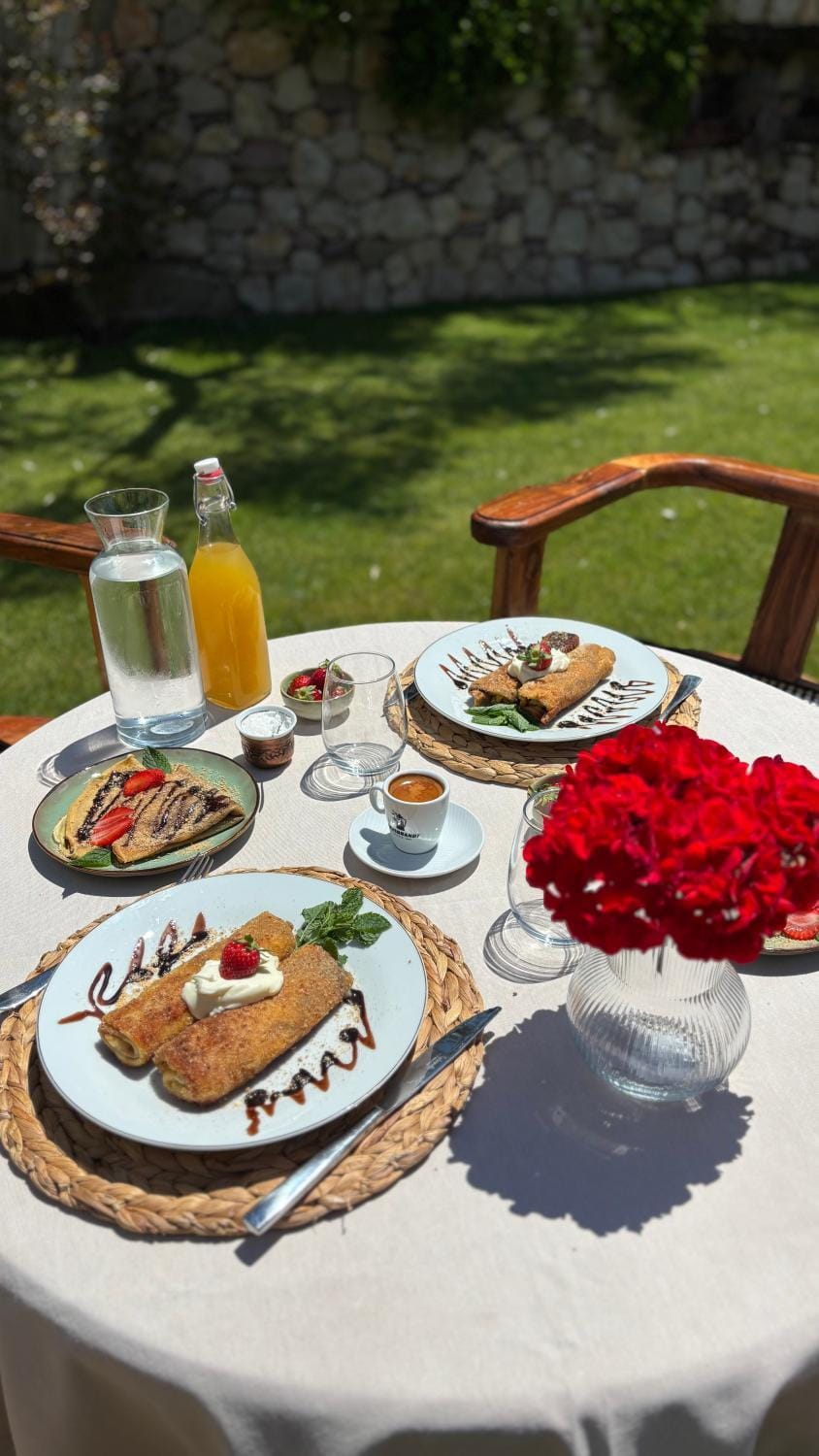 OLIVE QUEEN Rustic Estate Bed and Breakfast in Montenegro