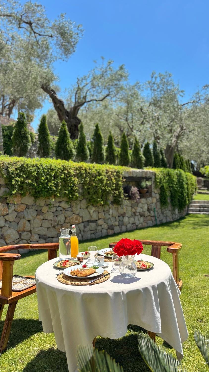 OLIVE QUEEN Rustic Estate Bed and Breakfast in Montenegro