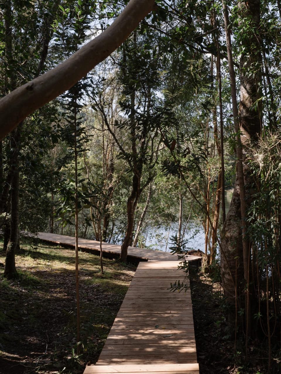 Natural landscape, Garden, Hiking