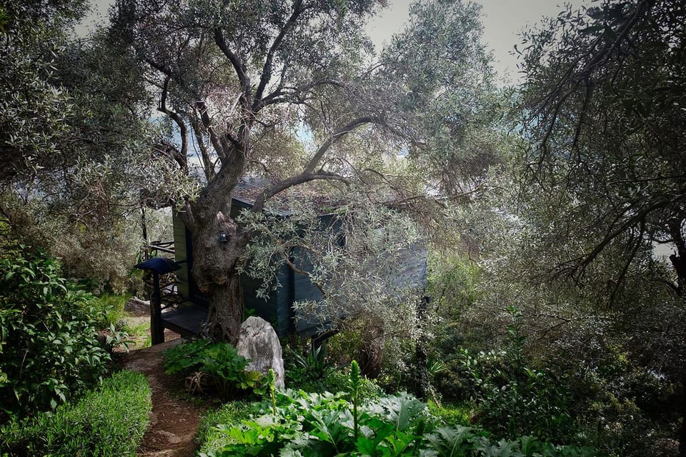 Property building, Spring, Natural landscape, Garden