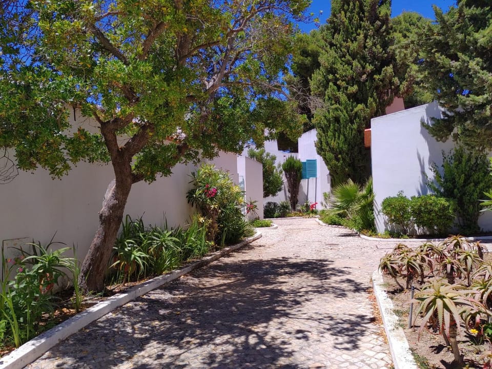 Patio, Garden, Garden view