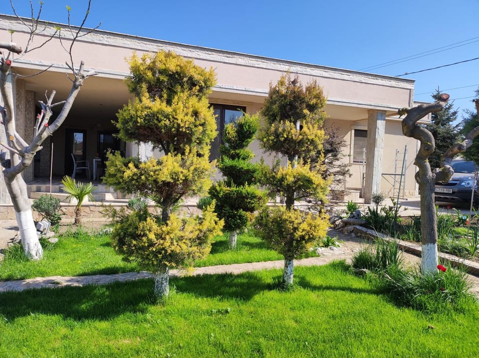 Property building, Garden