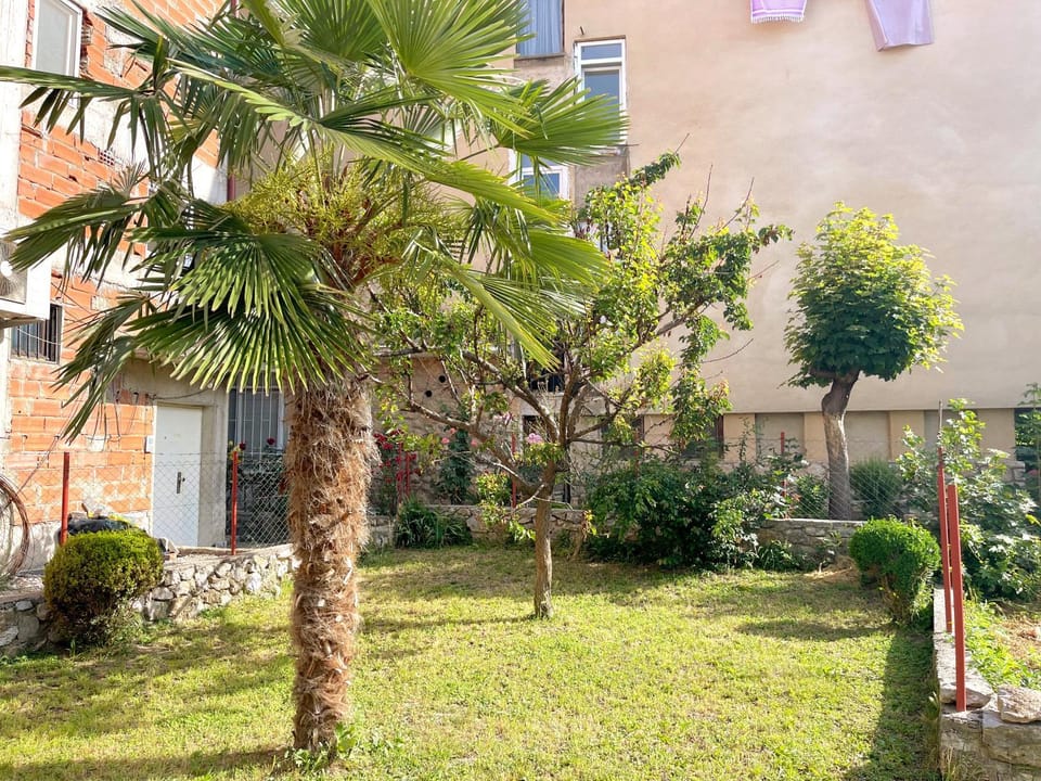 Garden view, Inner courtyard view