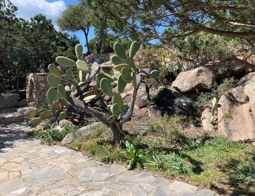 Kirù Lovely Home - Villa Su Cuile, Cala Ginepro House in Sardinia