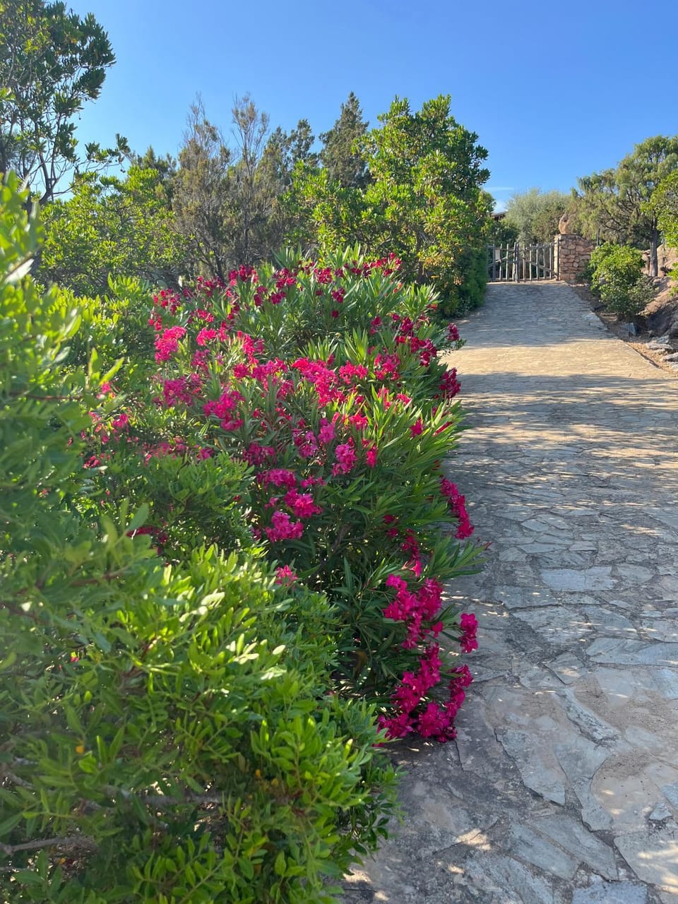 Kirù Lovely Home - Villa Su Cuile, Cala Ginepro House in Sardinia