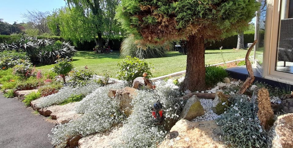 Garden, Garden, Garden view