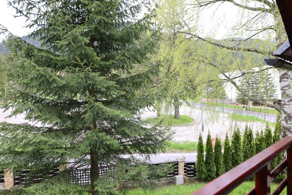 Garden, Balcony/Terrace, Garden view