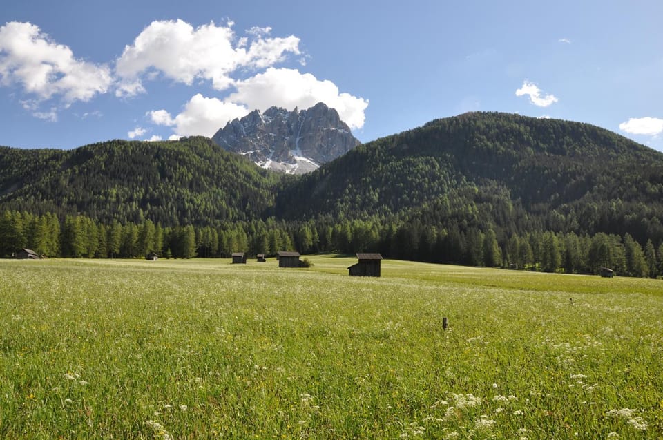 Haus Pfeifhofer Apartment in Trentino-South Tyrol