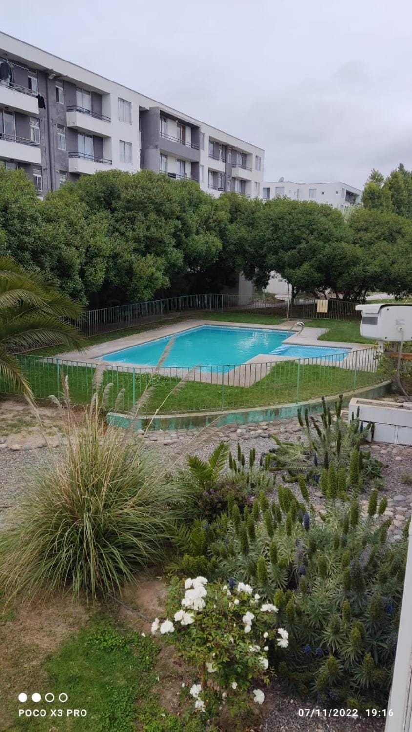Garden view, Pool view, Swimming pool, Swimming pool