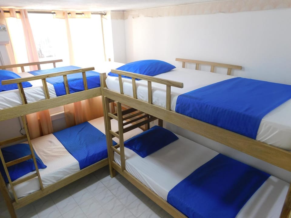 bunk bed