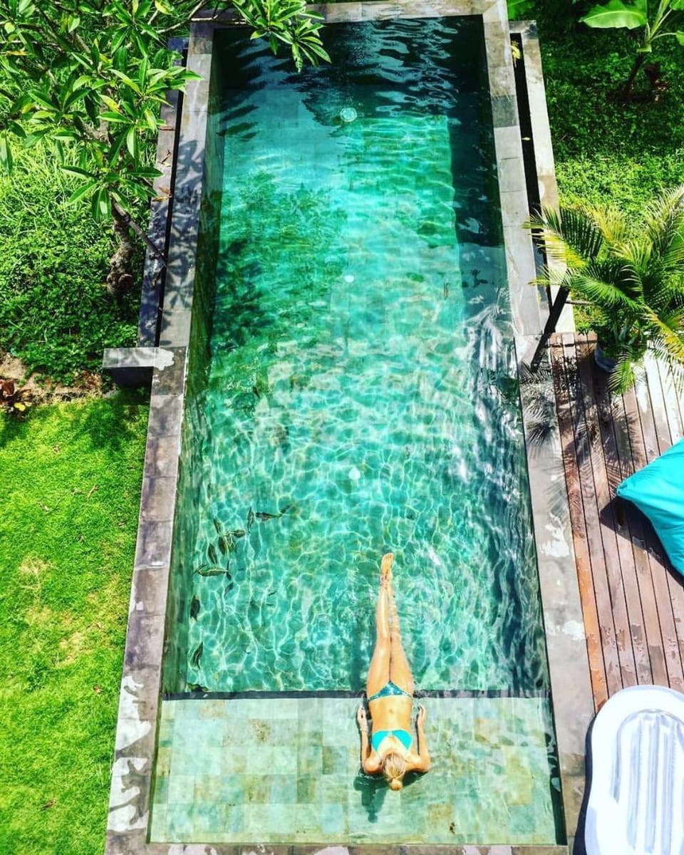 Day, People, Natural landscape, Garden, Garden view, Pool view, Swimming pool