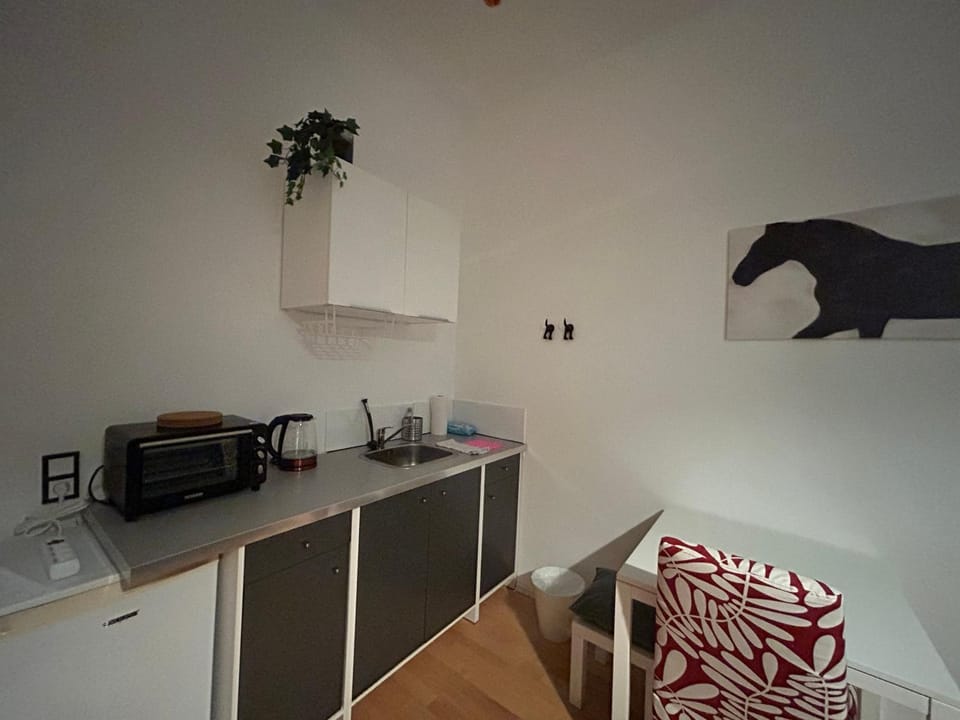 Gemütliches Apartment am Rand der Innenstadt Apartment in Trier