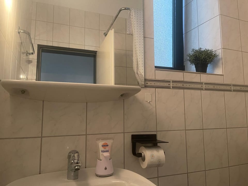 Gemütliches Apartment am Rand der Innenstadt Apartment in Trier