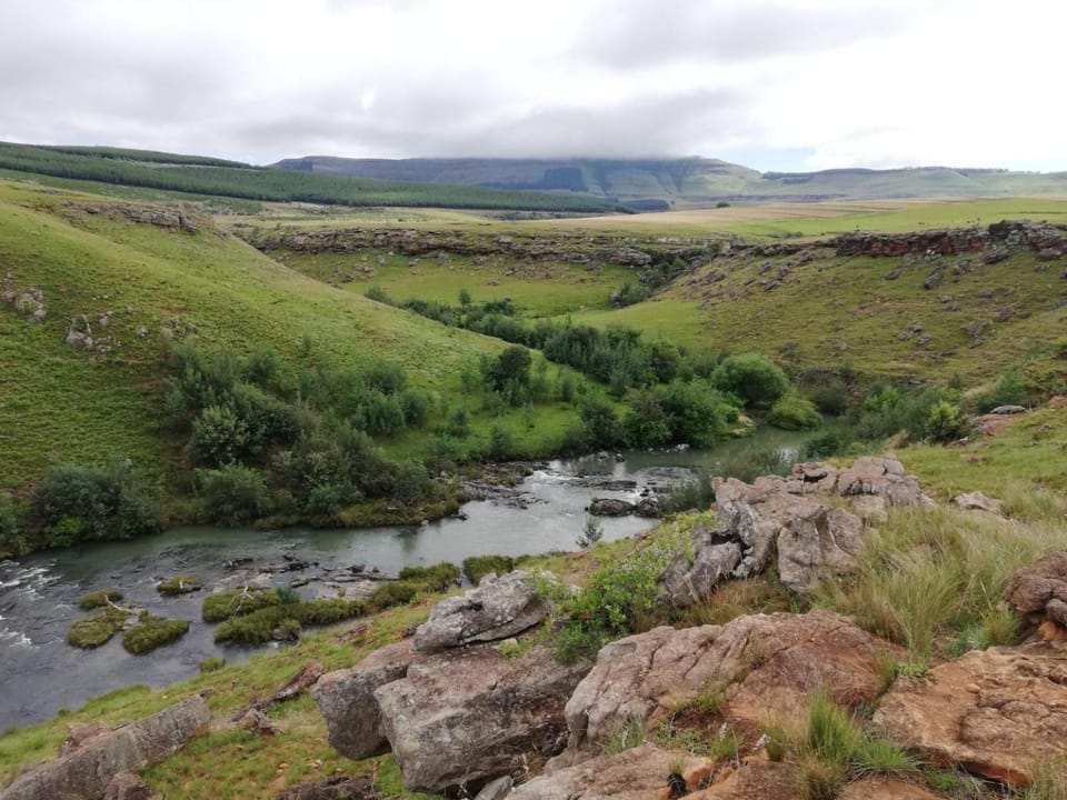 Natural landscape