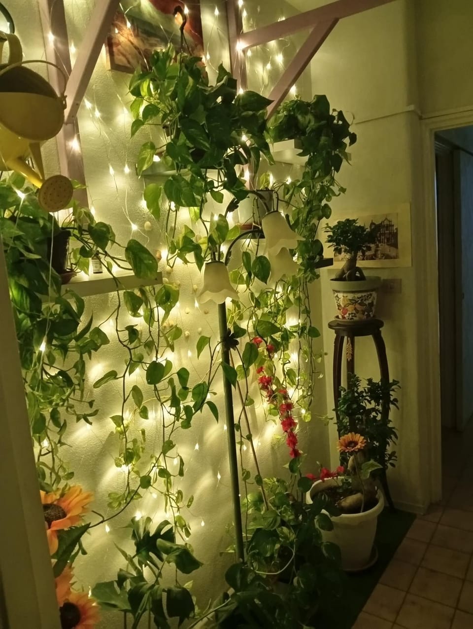 Policlinico La casa sotto il pergolato Apartment in Catania