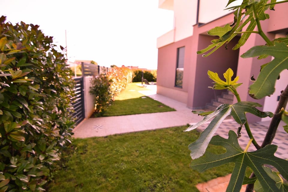 Property building, Garden view