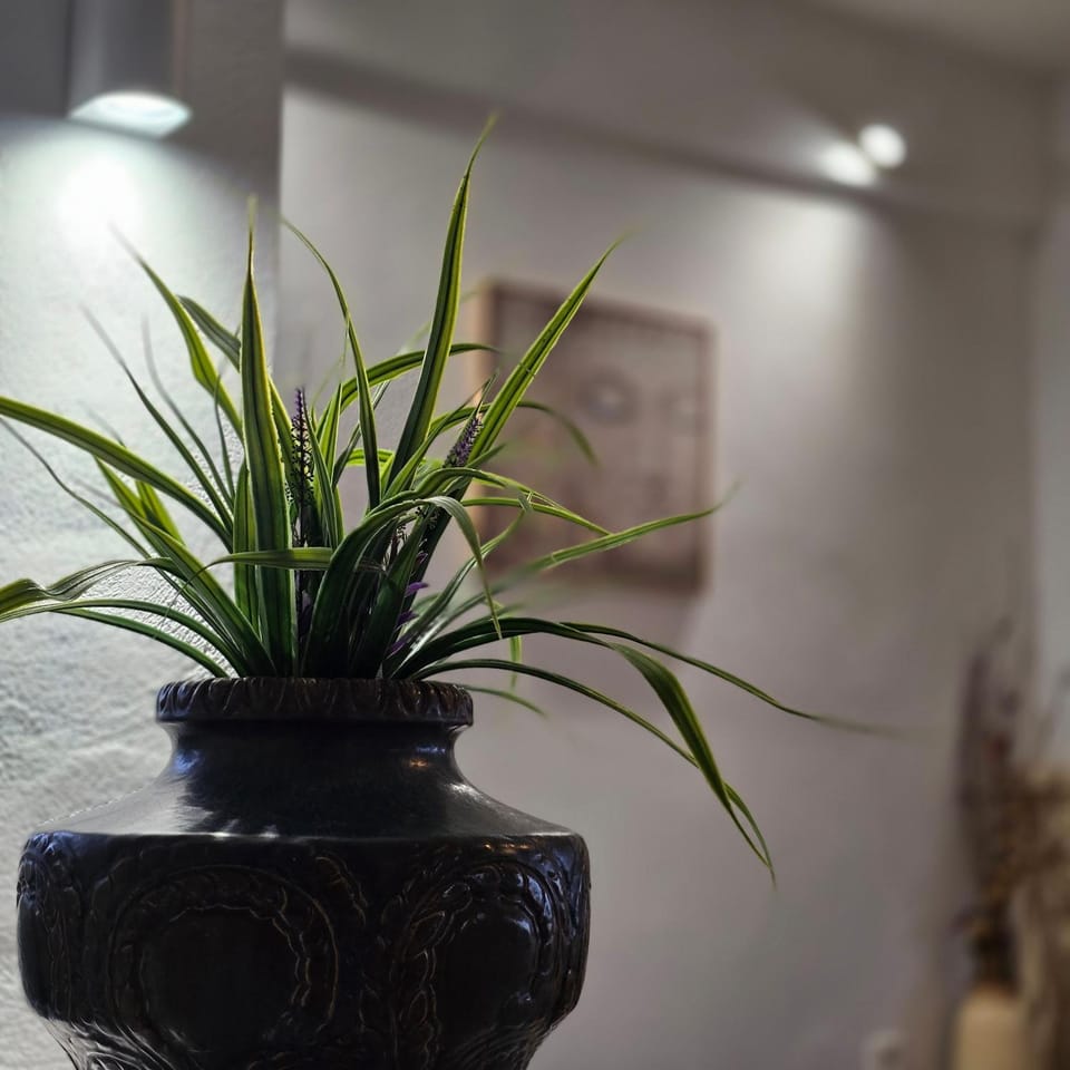 MARONIA Villa House in Evros, Greece