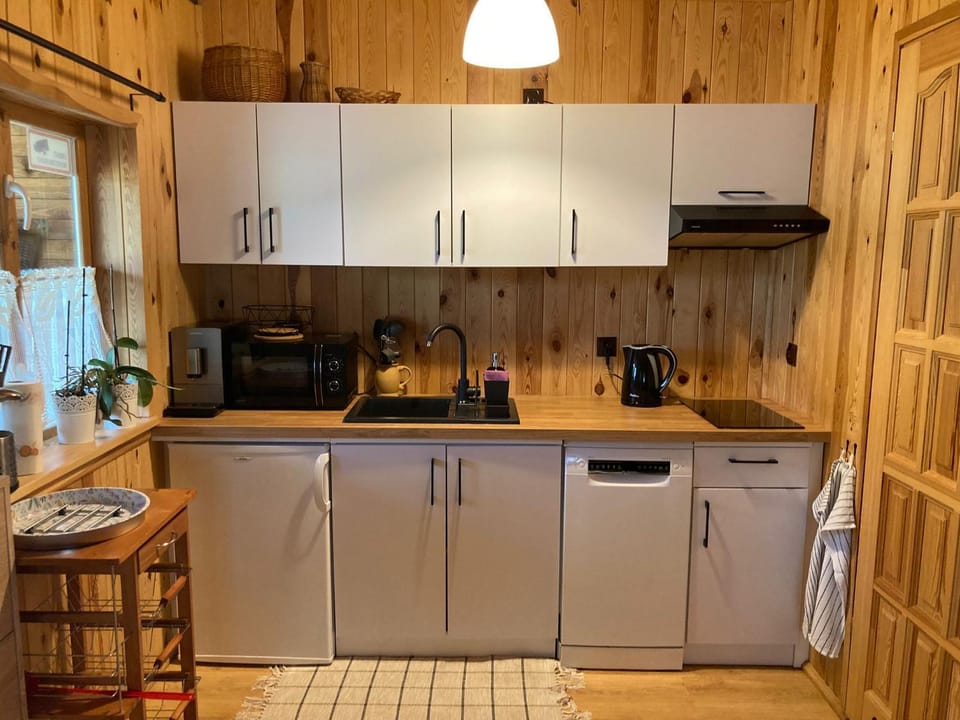 Coffee/tea facilities, Kitchen or kitchenette, dishwasher, minibar, stove