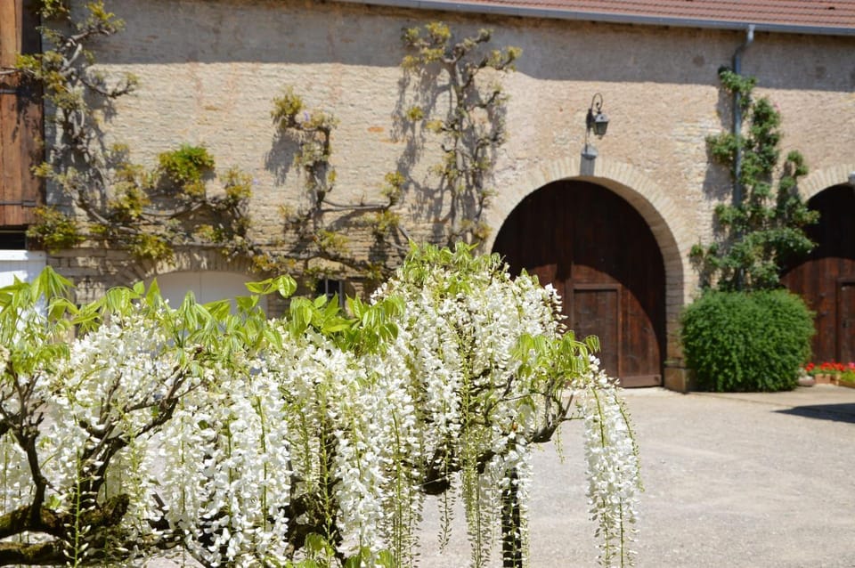 La ferme aux glycines Bed and Breakfast in Switzerland