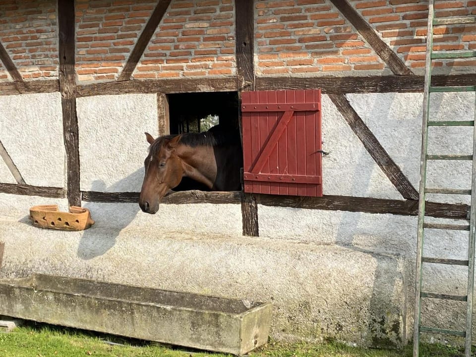 Gîte à la ferme avec piscine, animaux admis en Sologne Bourbonnaise - FR-1-489-368 House in Auvergne-Rhône-Alpes
