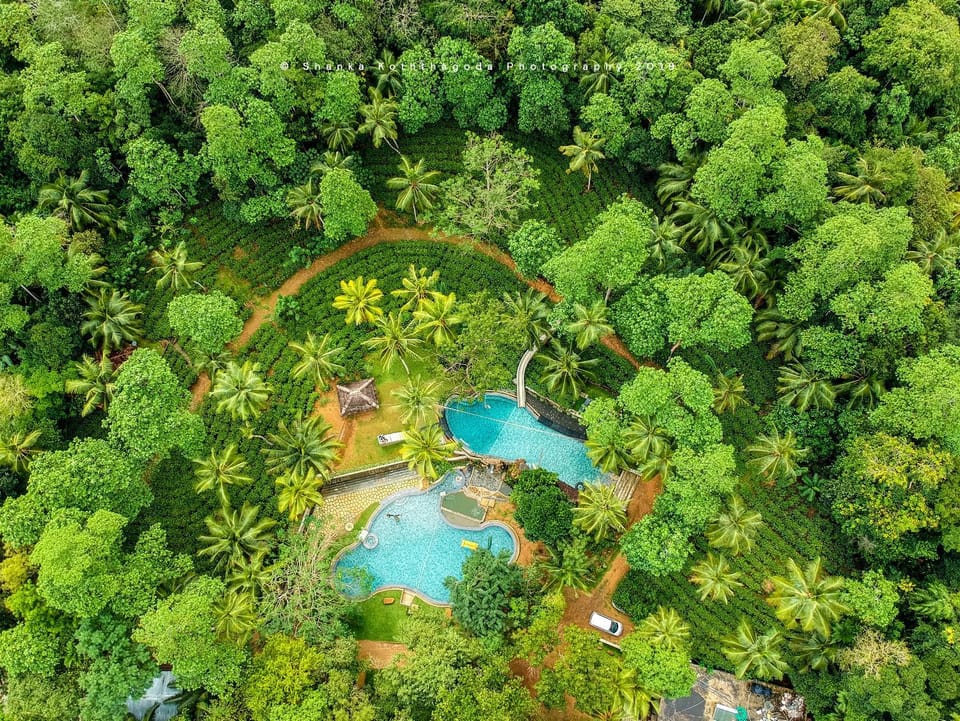 Nearby landmark, Spring, Day, Natural landscape, Bird's eye view, Garden, Garden, Garden view, Pool view, Swimming pool
