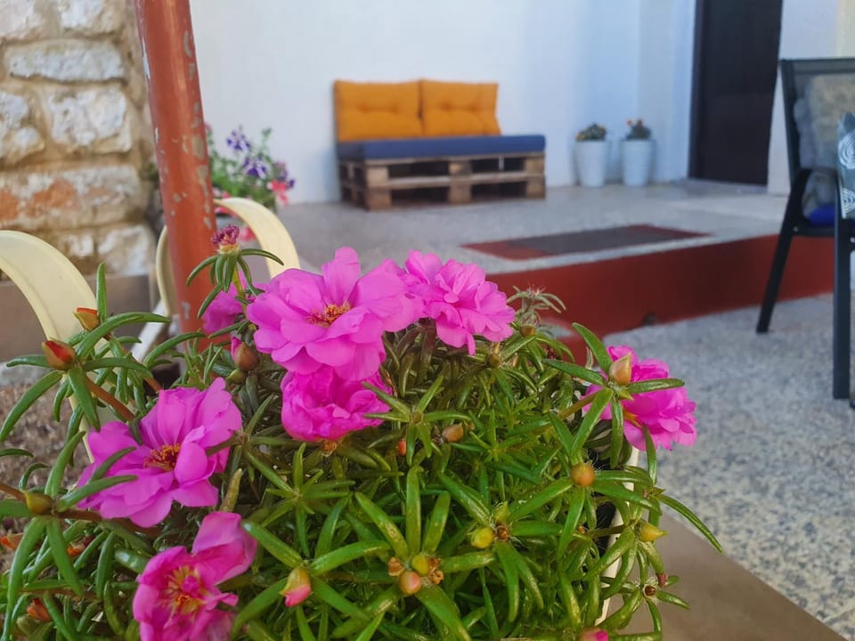 Apartman Bake Milke Apartment in Lika-Senj County