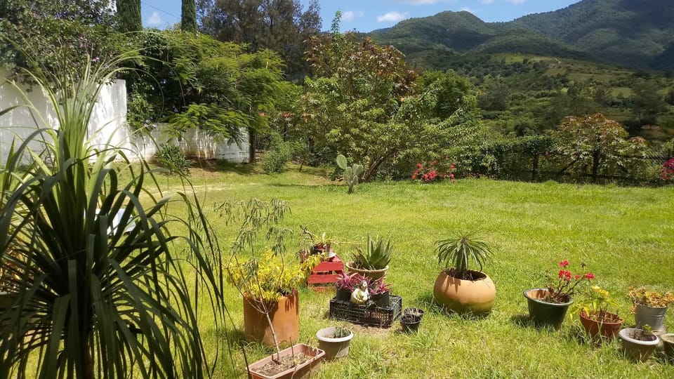 Garden, Garden view