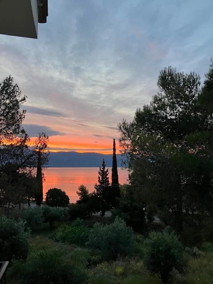 Sea view, Sunrise