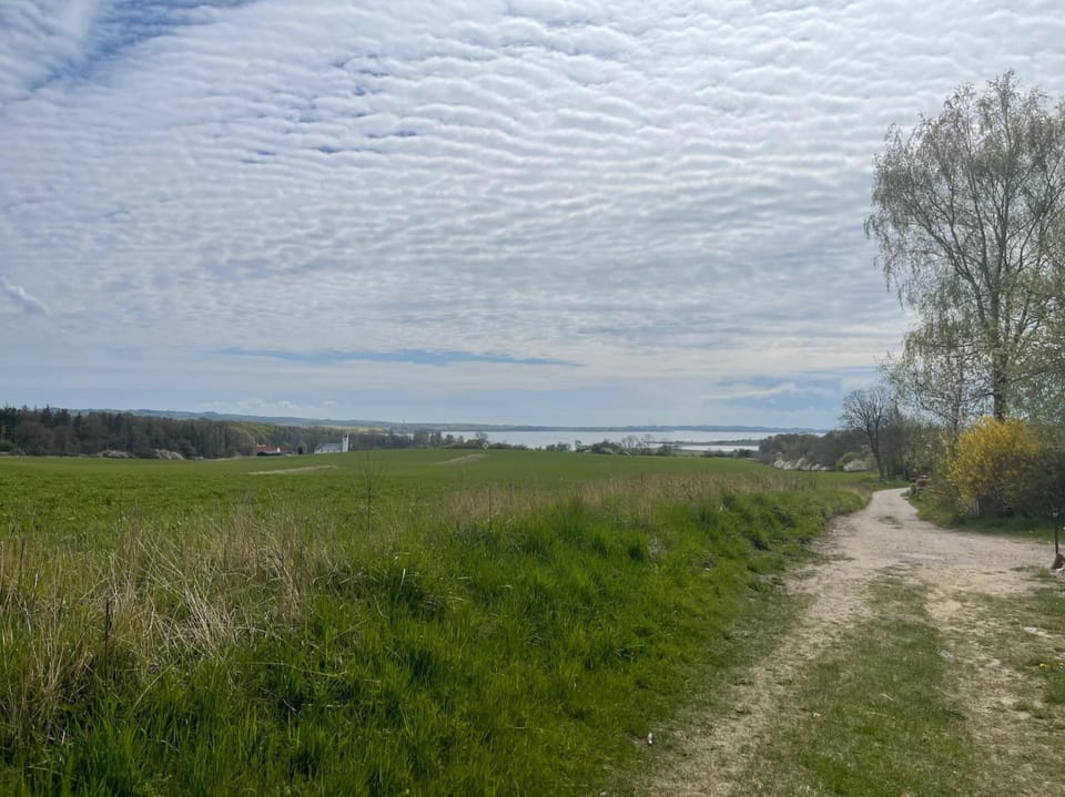 Neighbourhood, Natural landscape, Hiking