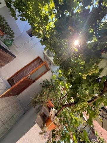 Monolocale in un piccolo paradiso House in Sardinia