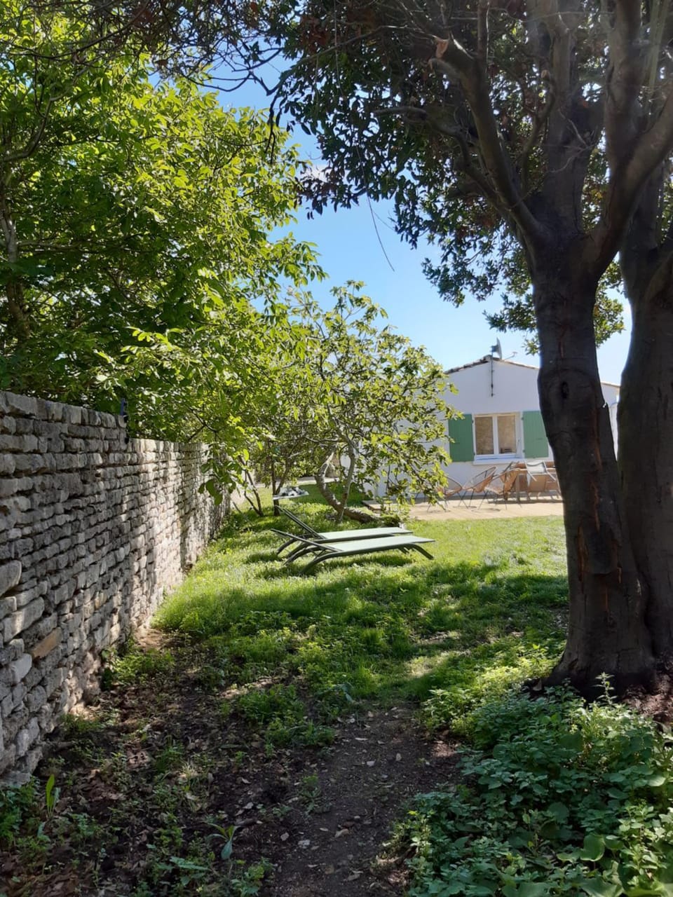 Charmante maison de plain pied avec 700m2 de jardin cloturé House in Nouvelle-Aquitaine