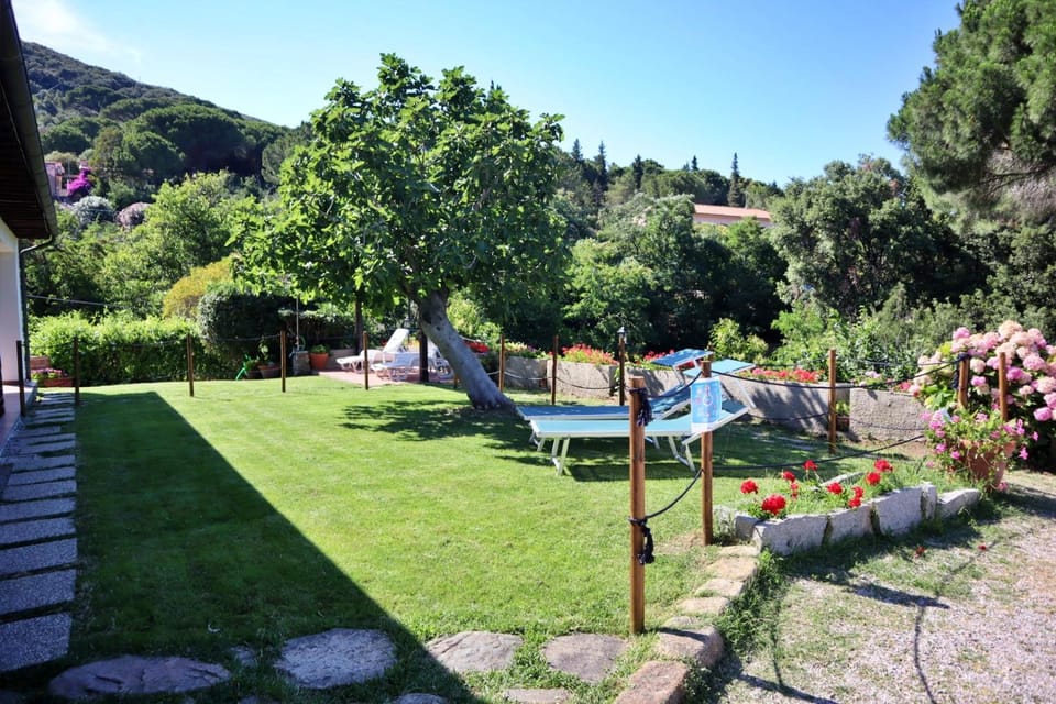 Shower, Garden, Garden, Garden view, Garden view, sunbed