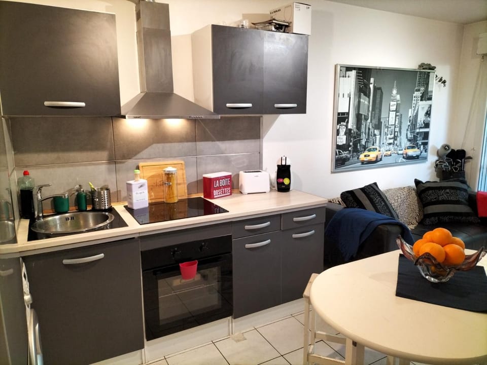 Studio- très calme - Proche Bidart et Guétary " AHETZE" Apartment in French Basque Country