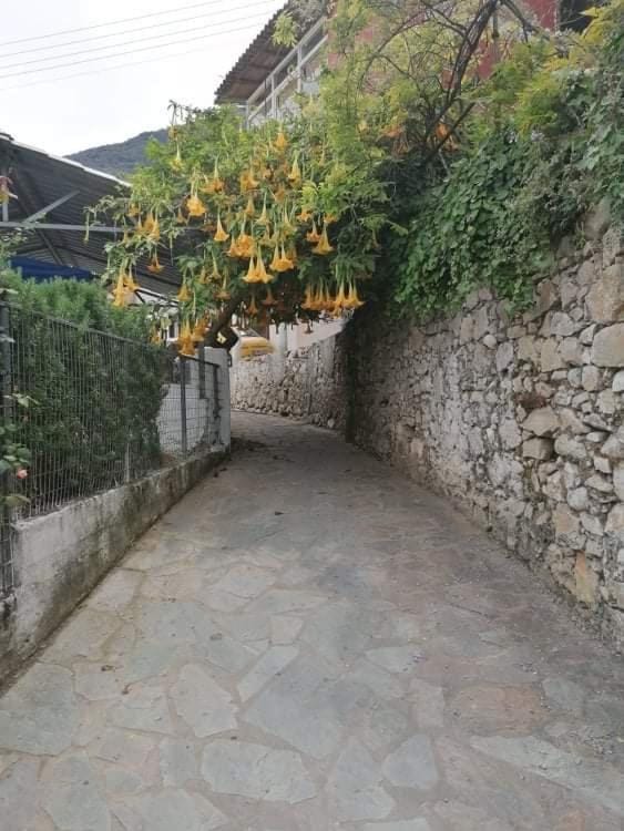 Neighbourhood