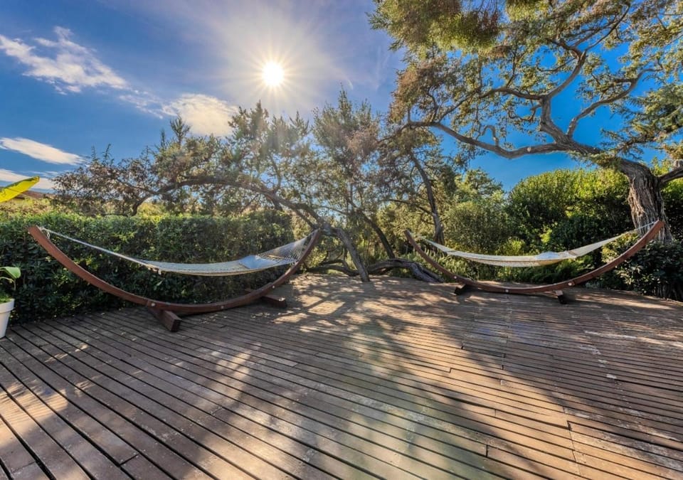 Natural landscape, Garden, Garden view