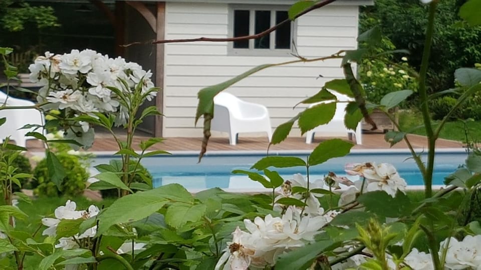 Swimming pool, Swimming pool